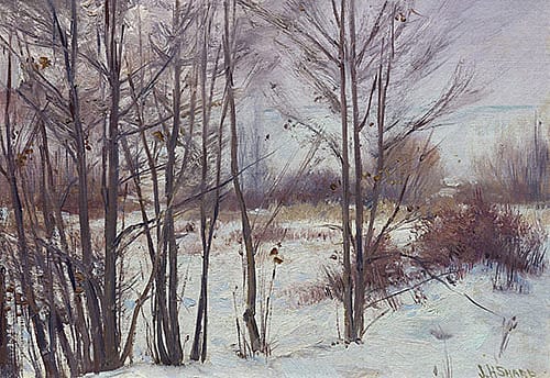 The Winter Screen